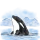 Orca